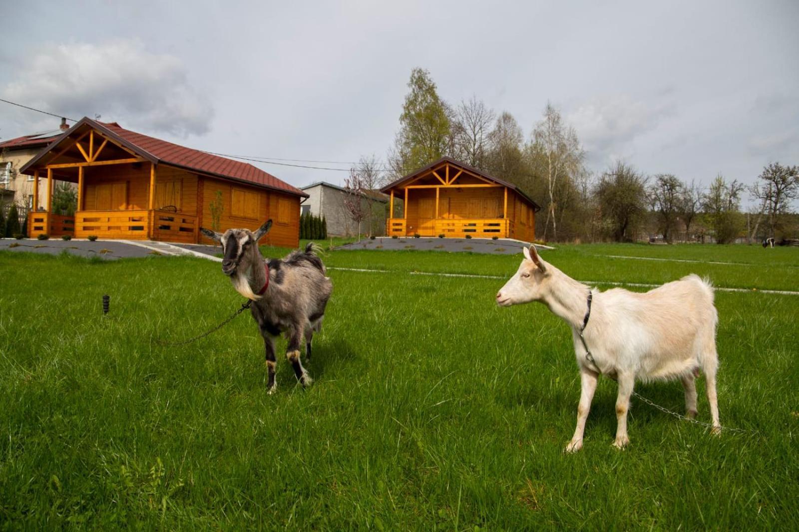 Holiday home Na Skraju Puszczy